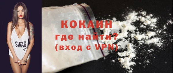 индика Тайга