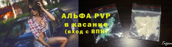 гидра Белокуриха