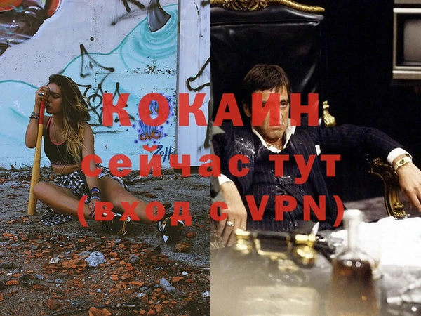 гидра Белокуриха