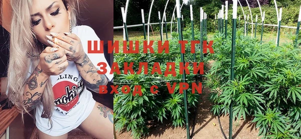 шишки Беломорск