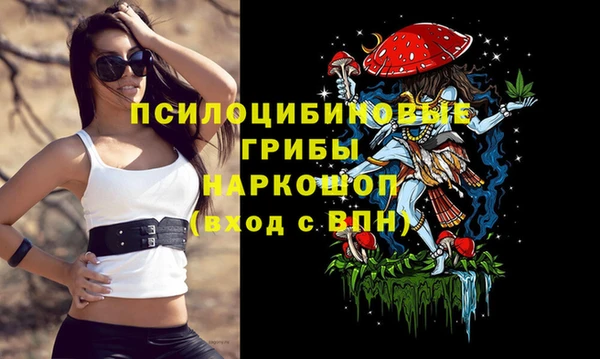 гидра Белокуриха