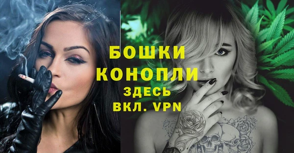 гидра Белокуриха