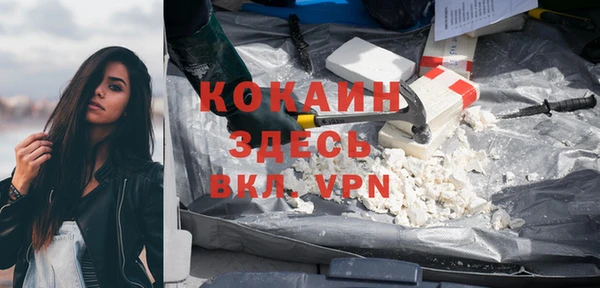 шишки Беломорск