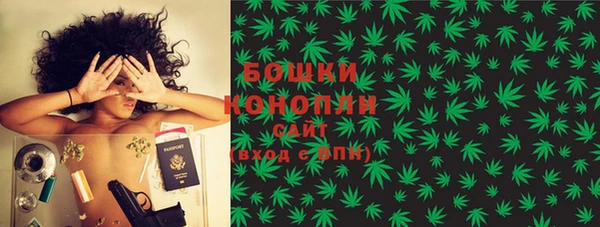 сатива Белоозёрский