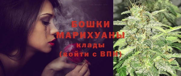 сатива Белоозёрский