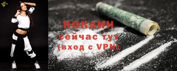 шишки Беломорск